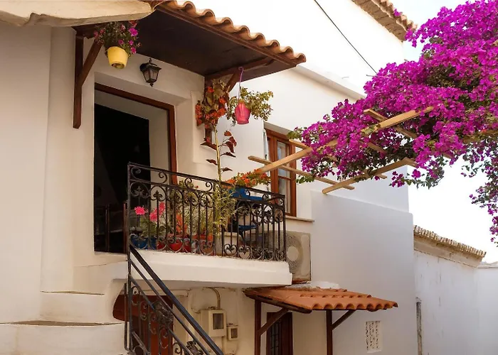 Bougainvillea 3* Ándros